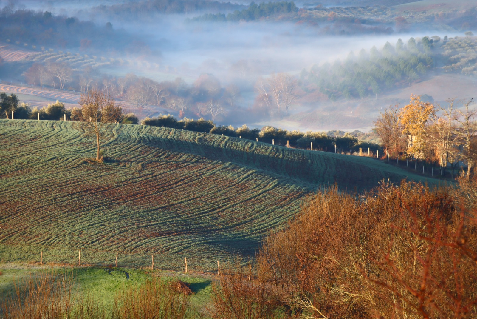 Trás-os-Montes Landschaft